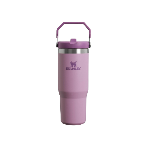 Stanley Quencher H2.0 FlowState Tumbler – 30oz (0.9L)